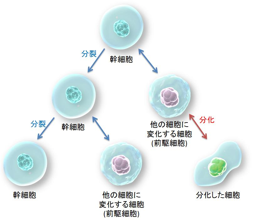 1716779441947265.png image.png